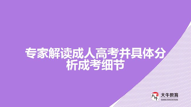 成人高考是什么？