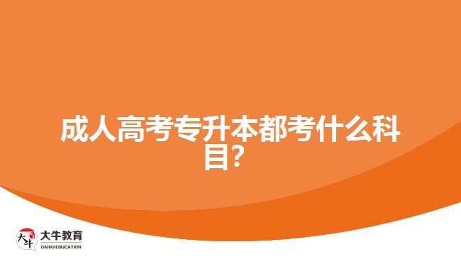 成人高考專升本都考什么科目？