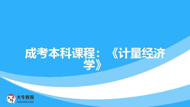 成考本科課程：《計量經(jīng)濟學》