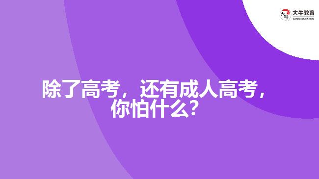 除了高考，還有成人高考，你怕什么？