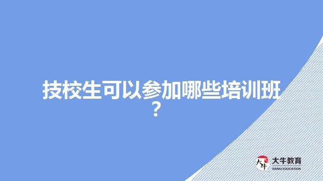 技校生可以參加哪些培訓(xùn)班？