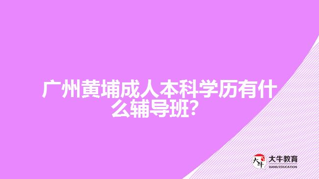 廣州黃埔成人本科學(xué)歷有什么輔導(dǎo)班？