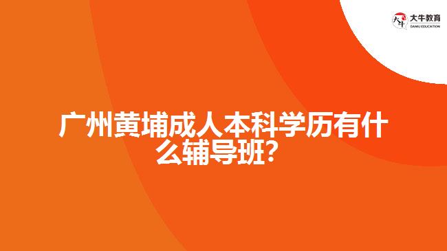 廣州黃埔成人本科學(xué)歷有什么輔導(dǎo)班？