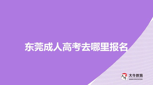 東莞成人高考去哪里報名