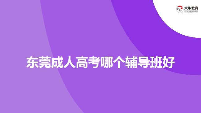 東莞成人高考哪個(gè)輔導(dǎo)班好