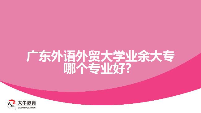 廣東外語外貿(mào)大學(xué)業(yè)余大專哪個專業(yè)好？