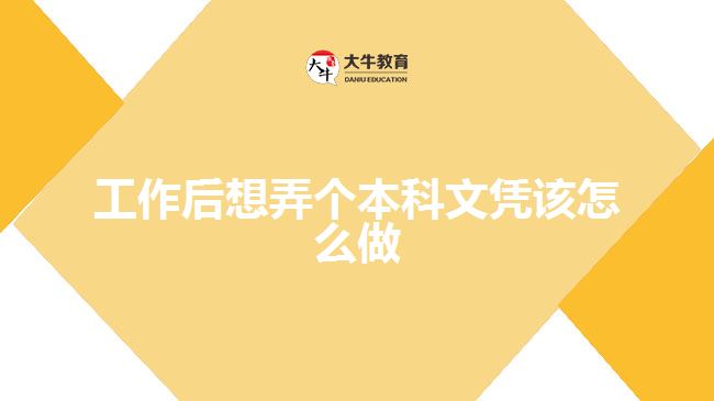 工作后想弄個本科文憑該怎么做