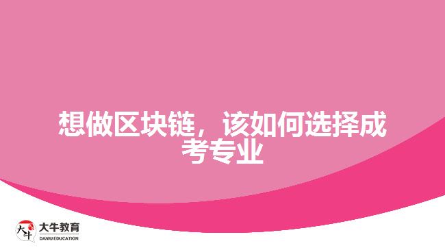 想做區(qū)塊鏈，該如何選擇成考專業(yè)