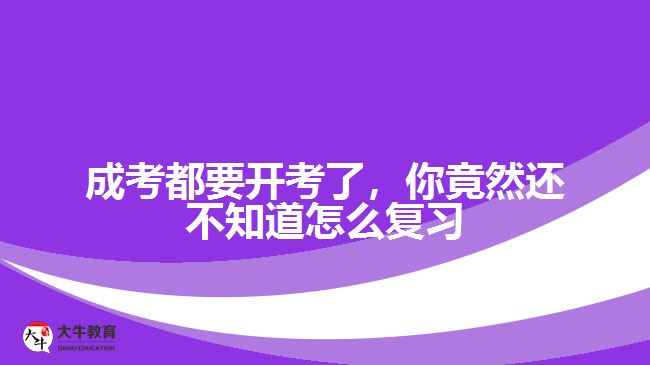 成考都要開考了，你竟然還不知道怎么復(fù)習(xí)