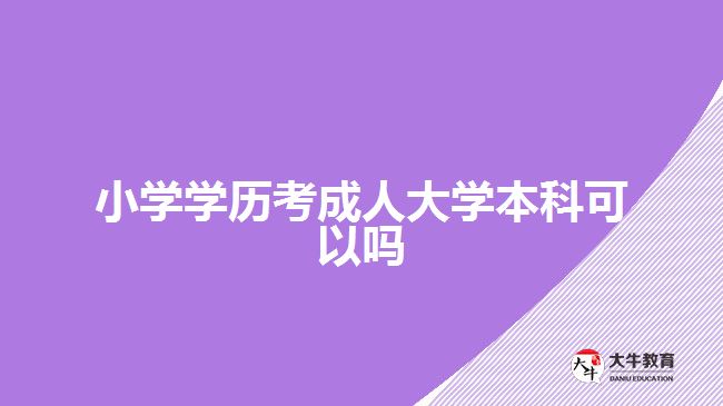 小學(xué)學(xué)歷考成人大學(xué)本科可以嗎