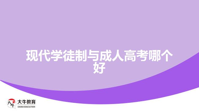 現(xiàn)代學(xué)徒制與成人高考哪個(gè)好