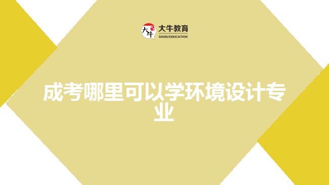 成考哪里可以學(xué)環(huán)境設(shè)計專業(yè)