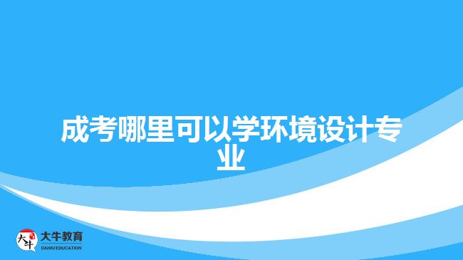 成考哪里可以學環(huán)境設計專業(yè)