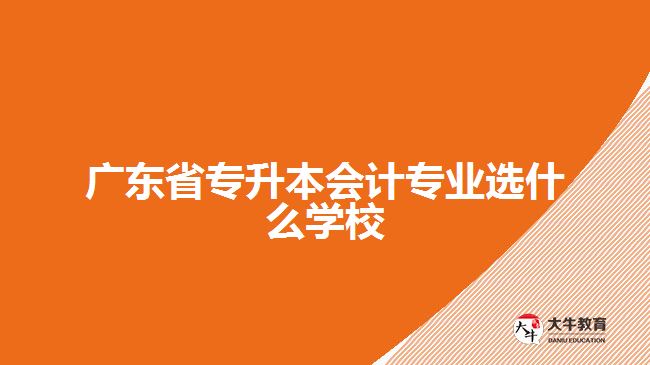 廣東省專升本會計(jì)專業(yè)選什么學(xué)校