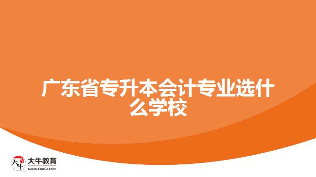 廣東省專升本會計專業(yè)選什么學校好