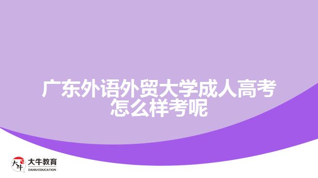 廣東外語外貿大學成人高考怎么樣考呢