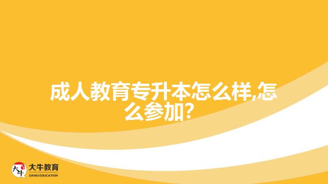 成人教育專升本怎么樣,怎么參加？