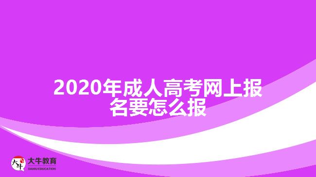 ，2020年成人高考網(wǎng)上報(bào)名要怎么報(bào)