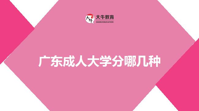 廣東成人大學分哪幾種