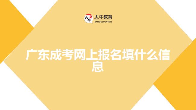 廣東成考網(wǎng)上報名填什么信息