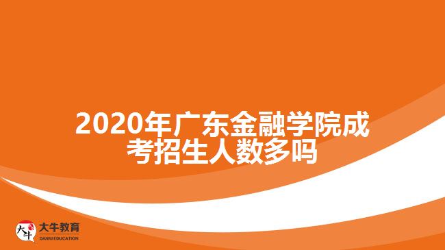 2020年廣東金融學(xué)院成考招生人數(shù)多嗎