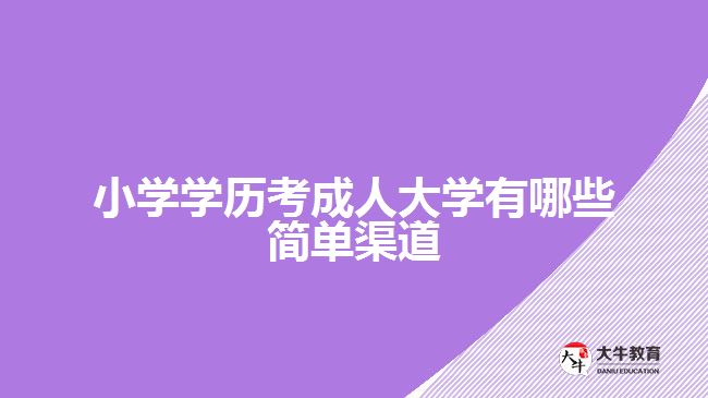 小學(xué)學(xué)歷考成人大學(xué)有哪些簡(jiǎn)單渠道