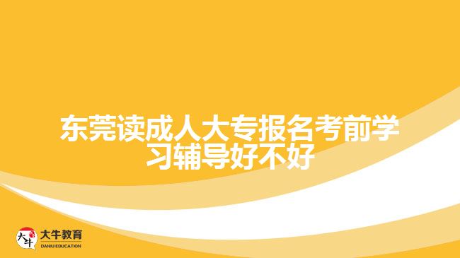 東莞讀成人大專報名考前學習輔導好不好