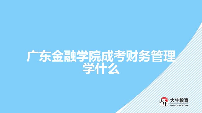 廣東金融學院成考財務(wù)管理學什么