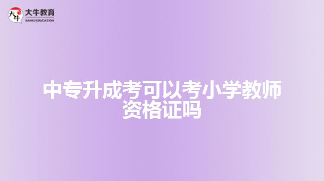 中專升成考可以考小學教師資格證嗎