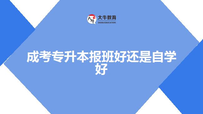 成考專升本報(bào)班好還是自學(xué)好