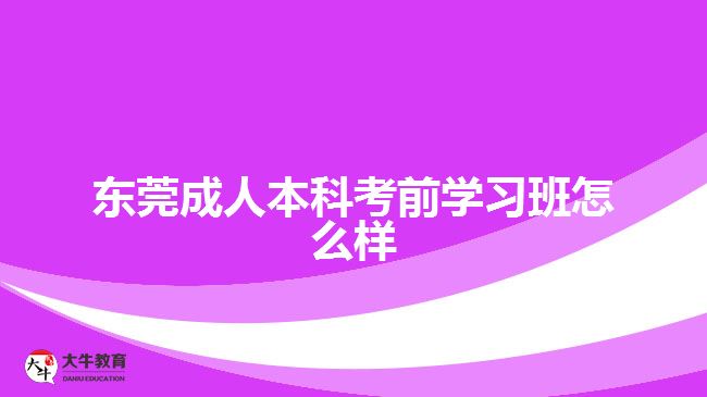 東莞成人本科考前學習班怎么樣