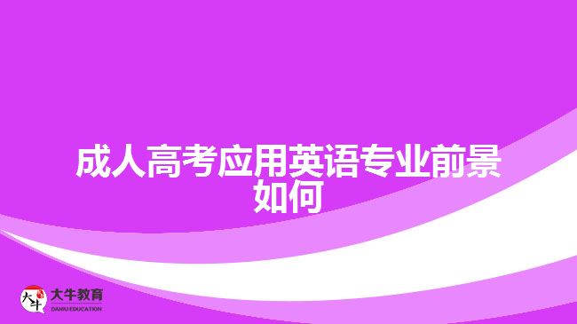 成人高考應(yīng)用英語(yǔ)專業(yè)前景如何