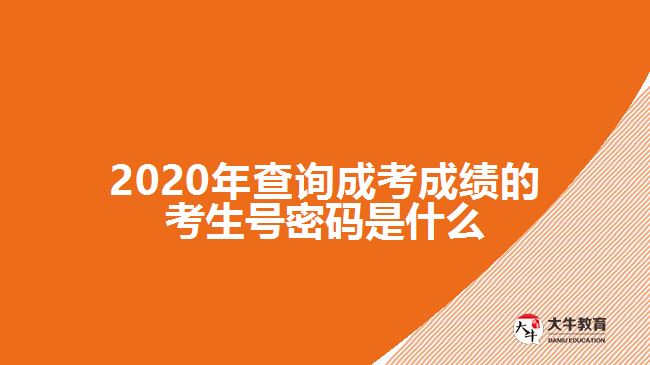 2020年查詢成考成績(jī)的考生號(hào)密碼是什么