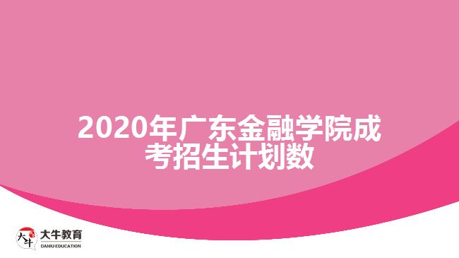 2020年廣東金融學院成考招生計劃數(shù)