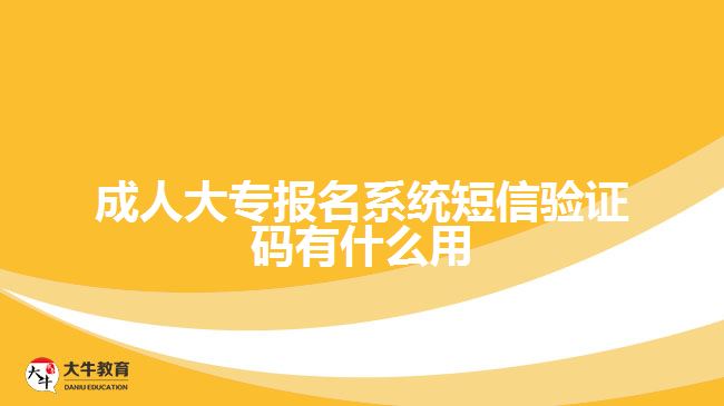 成人大專報名系統(tǒng)短信驗證碼有什么用