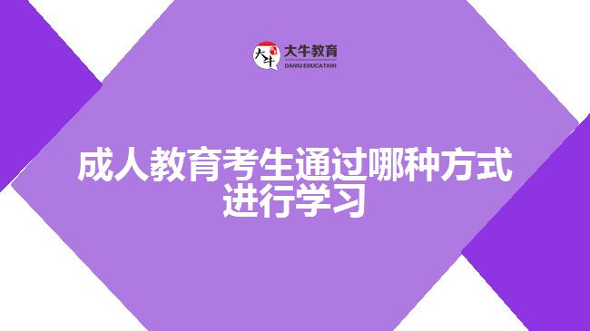 成人教育考生通過哪種方式進行學(xué)習(xí)