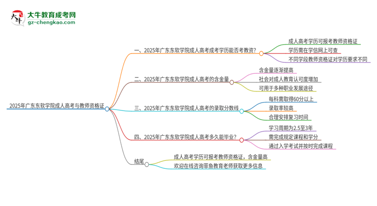 2025年廣東東軟學(xué)院成人高考能考教資嗎？思維導(dǎo)圖