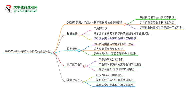 2025年深圳大學(xué)成人本科可否報(bào)考執(zhí)業(yè)醫(yī)師資格證？思維導(dǎo)圖