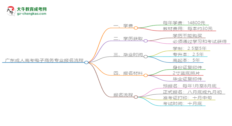 廣東成人高考電子商務(wù)專業(yè)2025年報名流程思維導(dǎo)圖