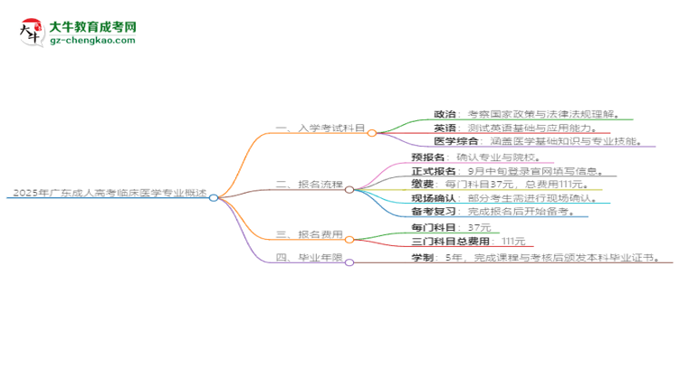 2025年廣東成人高考臨床醫(yī)學(xué)專業(yè)入學(xué)考試科目有哪些？思維導(dǎo)圖