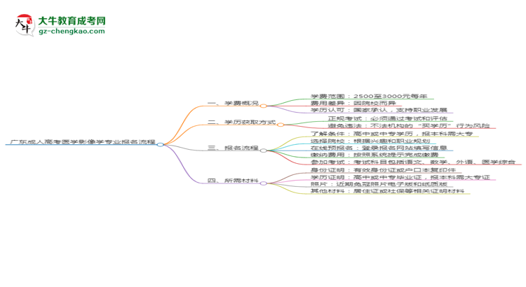 廣東成人高考醫(yī)學影像學專業(yè)2025年報名流程思維導圖