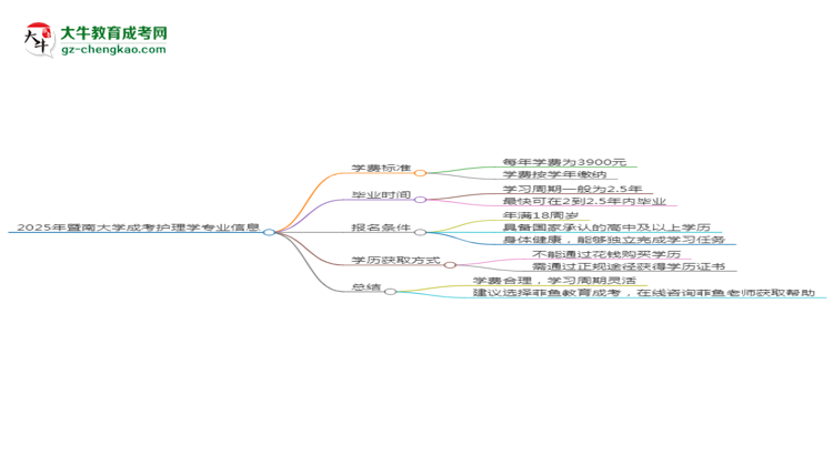 2025年暨南大學(xué)成考護(hù)理學(xué)專(zhuān)業(yè)最新學(xué)費(fèi)標(biāo)準(zhǔn)多少思維導(dǎo)圖