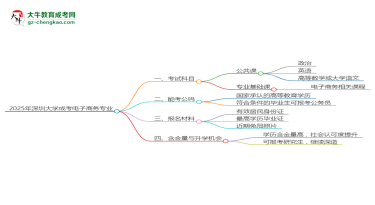 2025年深圳大學(xué)成考電子商務(wù)專業(yè)入學(xué)考試科目有哪些？思維導(dǎo)圖