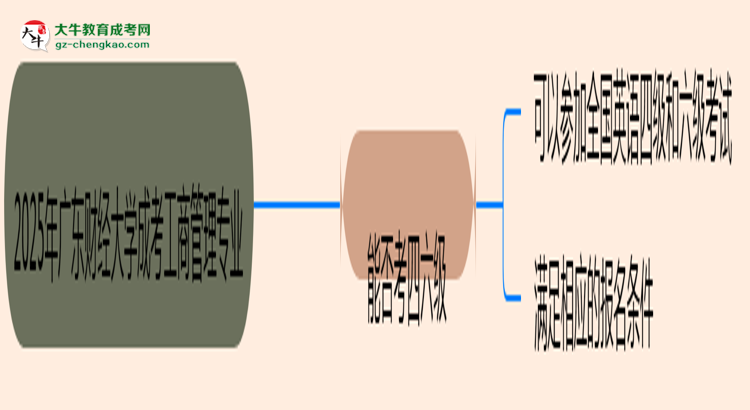 廣東財經(jīng)大學(xué)2025年成考工商管理專業(yè)生可不可以考四六級？思維導(dǎo)圖