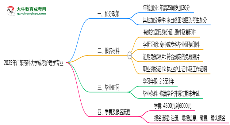 2025年廣東藥科大學(xué)成考護(hù)理學(xué)專業(yè)最新加分政策及條件思維導(dǎo)圖