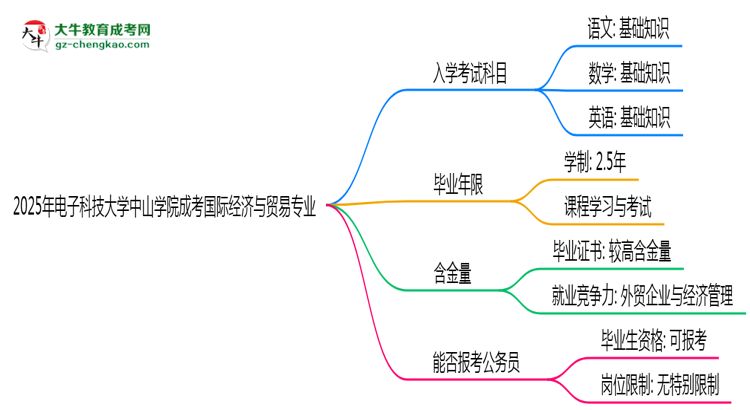 2025年電子科技大學中山學院成考國際經濟與貿易專業(yè)入學考試科目有哪些？思維導圖
