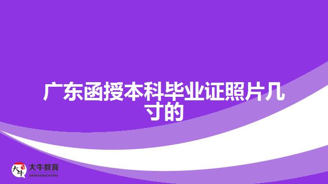 廣東函授本科畢業(yè)證照片幾寸的