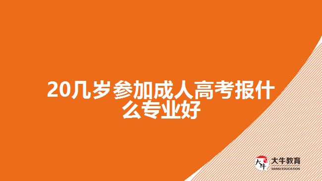 20幾歲參加成人高考報(bào)什么專業(yè)好