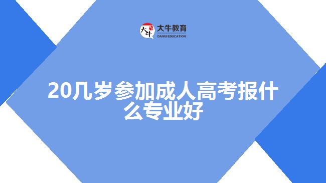 20幾歲參加成人高考報(bào)什么專業(yè)好