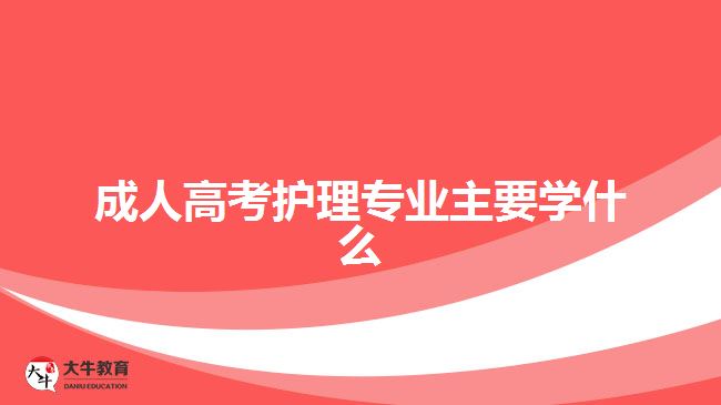 成人高考護理專業(yè)主要學什么